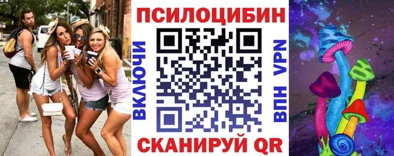 купить наркоту  Сорочинск  Псилоцибиновые грибы Psilocybine cubensis 